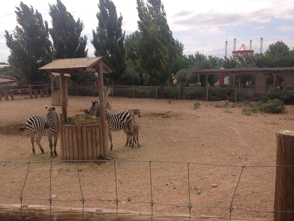 Apartamento Turistico Cigueena De アルゲダス エクステリア 写真
