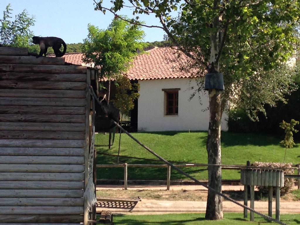 Apartamento Turistico Cigueena De アルゲダス エクステリア 写真